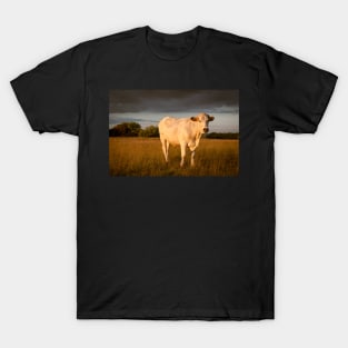 Bullock#1 T-Shirt